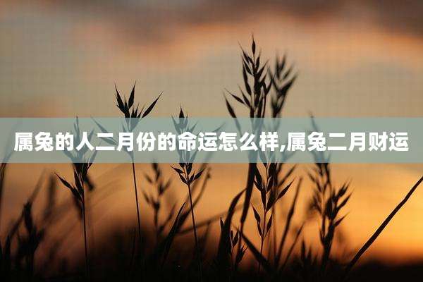 属兔的人二月份的命运怎么样,属兔二月财运