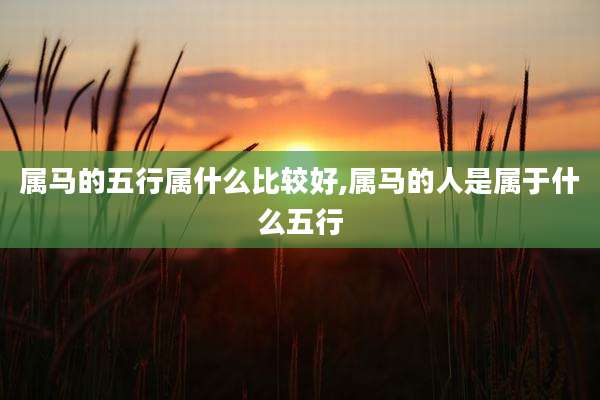属马的五行属什么比较好,属马的人是属于什么五行