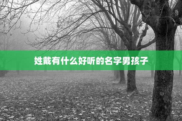 姓戴有什么好听的名字男孩子