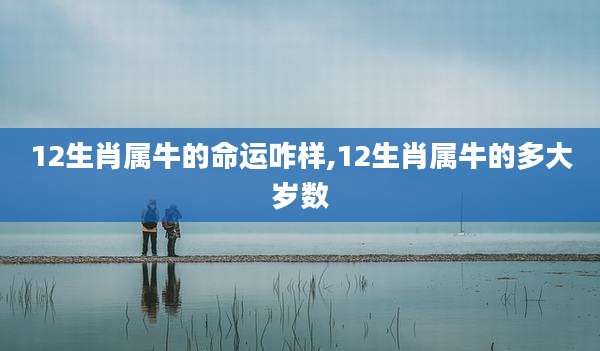 12生肖属牛的命运咋样,12生肖属牛的多大岁数