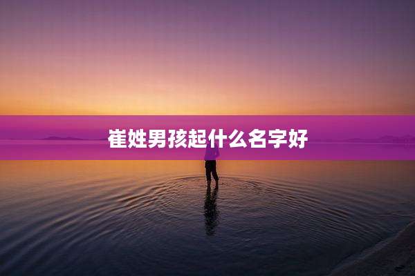 崔姓男孩起什么名字好