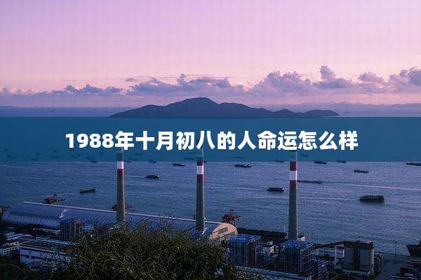 1988年十月初八的人命运怎么样
