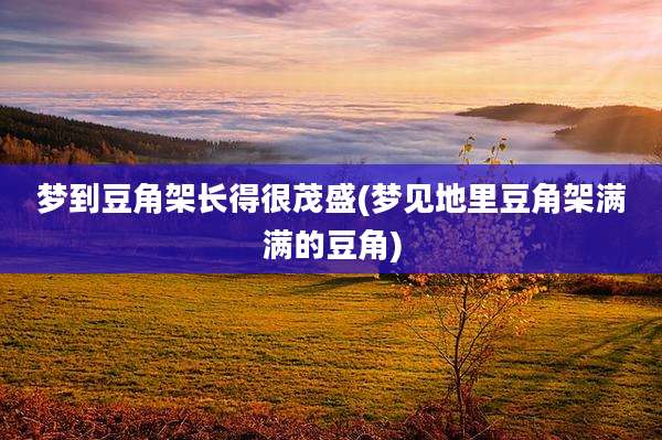 梦到豆角架长得很茂盛(梦见地里豆角架满满的豆角)