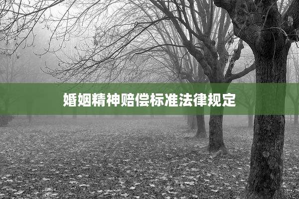 婚姻精神赔偿标准法律规定