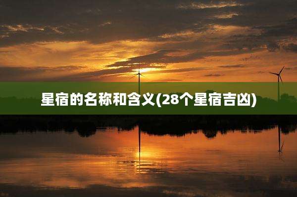 星宿的名称和含义(28个星宿吉凶)