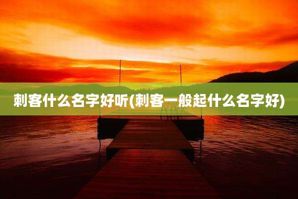 刺客什么名字好听(刺客一般起什么名字好)
