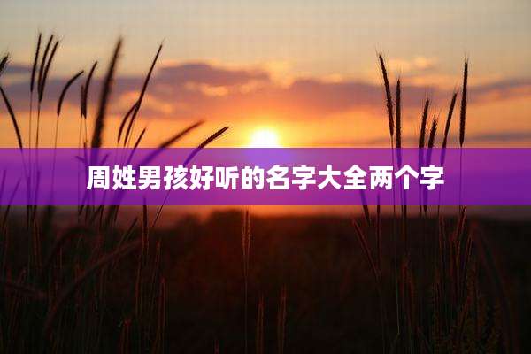 周姓男孩好听的名字大全两个字