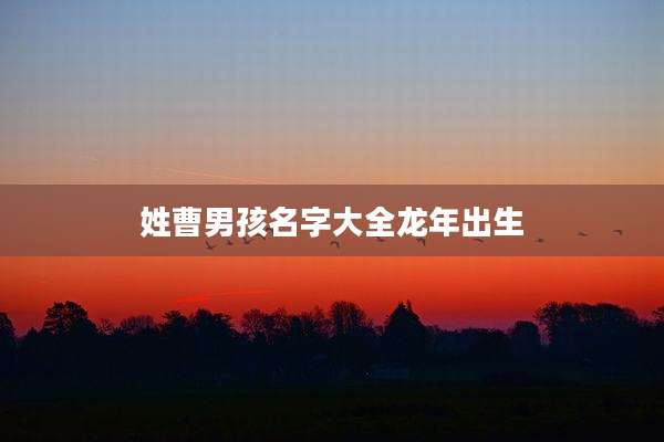 姓曹男孩名字大全龙年出生