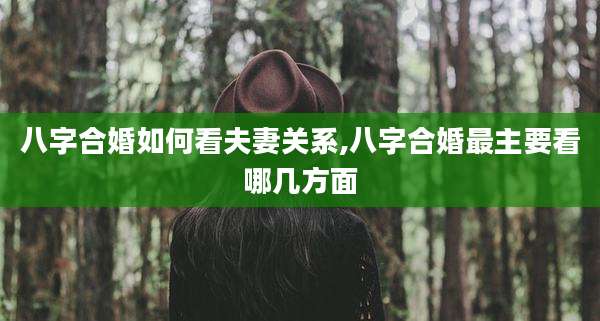 八字合婚如何看夫妻关系,八字合婚最主要看哪几方面