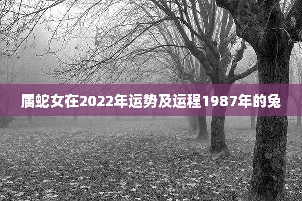属蛇女在2022年运势及运程1987年的兔