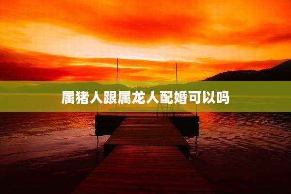 属猪人跟属龙人配婚可以吗