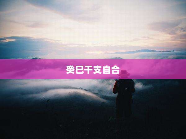 癸巳干支自合