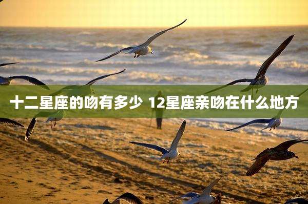 十二星座的吻有多少 12星座亲吻在什么地方