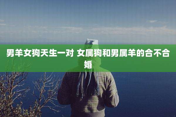 男羊女狗天生一对 女属狗和男属羊的合不合婚
