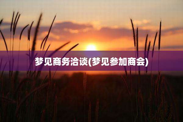 梦见商务洽谈(梦见参加商会)
