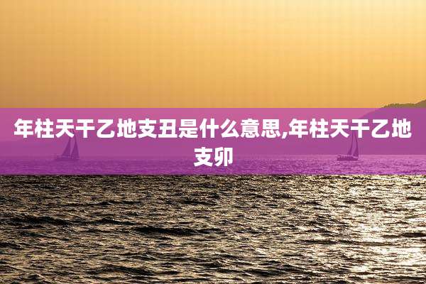 年柱天干乙地支丑是什么意思,年柱天干乙地支卯