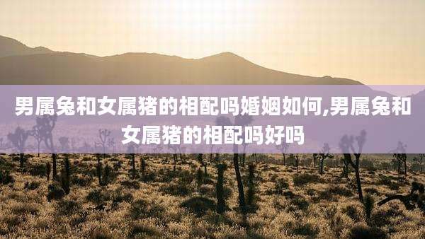 男属兔和女属猪的相配吗婚姻如何,男属兔和女属猪的相配吗好吗
