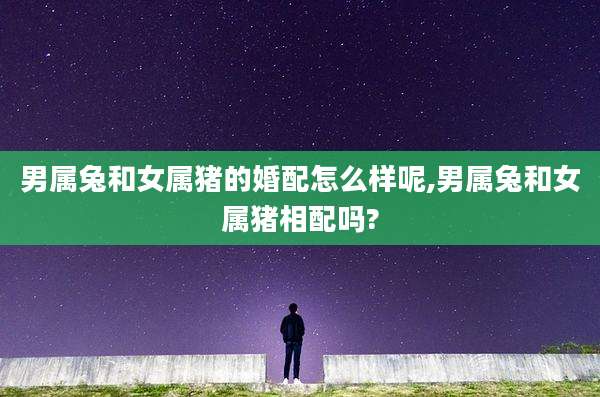 男属兔和女属猪的婚配怎么样呢,男属兔和女属猪相配吗?