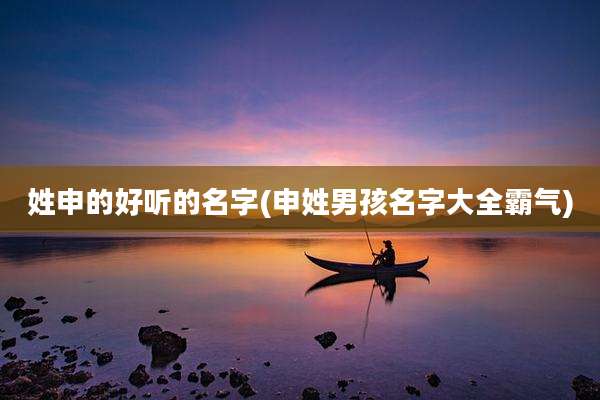 姓申的好听的名字(申姓男孩名字大全霸气)
