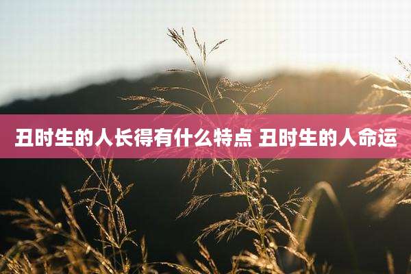 丑时生的人长得有什么特点 丑时生的人命运
