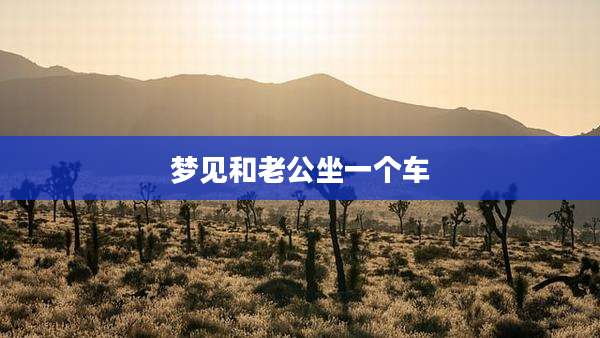 梦见和老公坐一个车