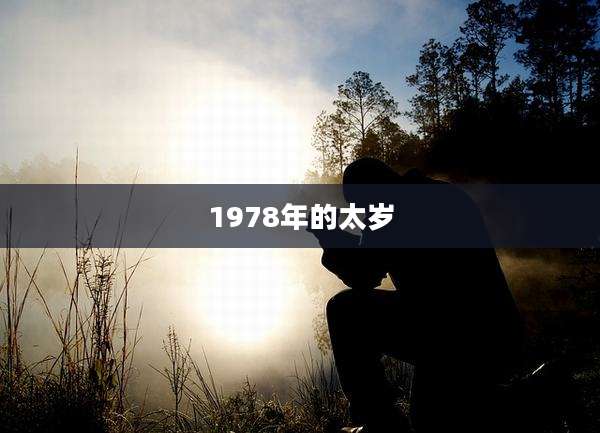 1978年的太岁