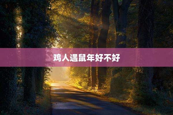 鸡人遇鼠年好不好