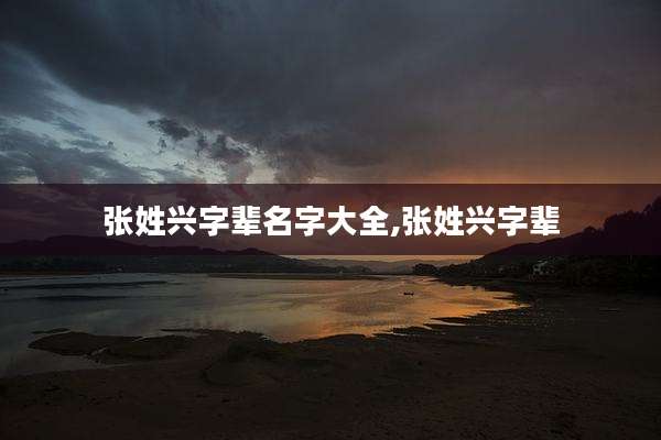 张姓兴字辈名字大全,张姓兴字辈