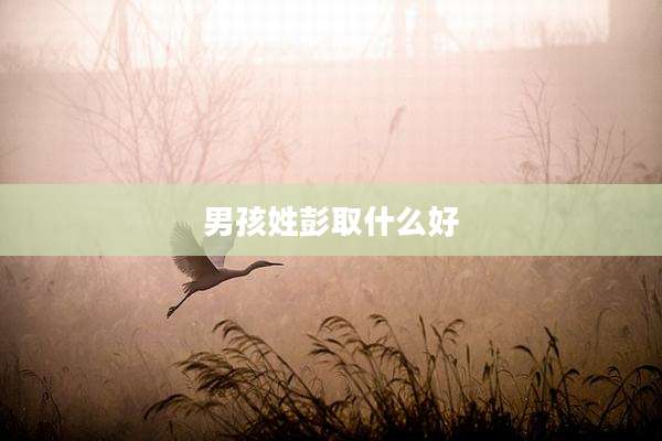 男孩姓彭取什么好