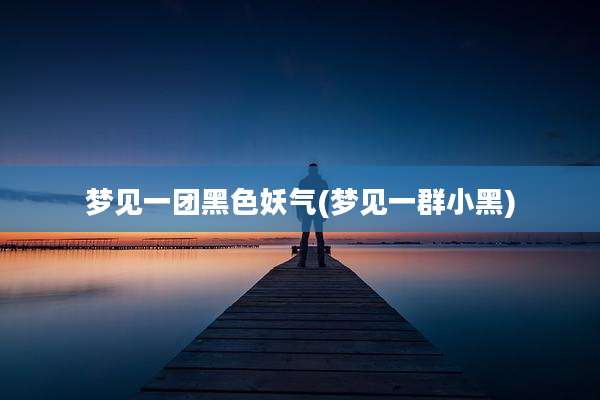 梦见一团黑色妖气(梦见一群小黑)