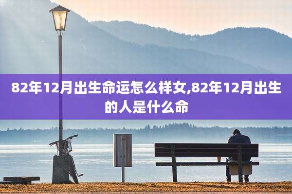 82年12月出生命运怎么样女,82年12月出生的人是什么命