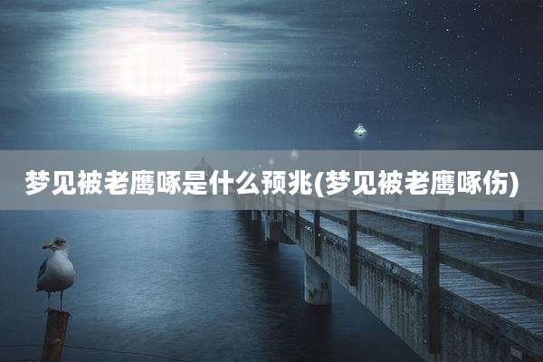 梦见被老鹰啄是什么预兆(梦见被老鹰啄伤)