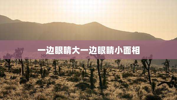 一边眼睛大一边眼睛小面相