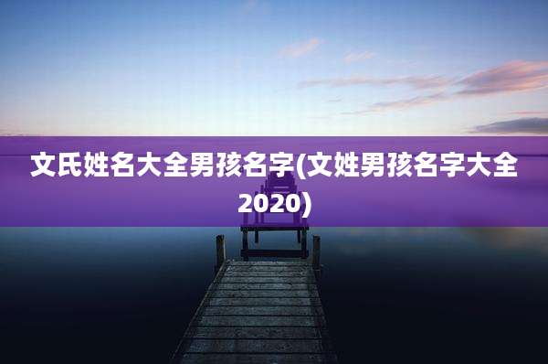 文氏姓名大全男孩名字(文姓男孩名字大全2020)