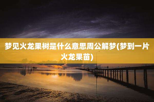 梦见火龙果树是什么意思周公解梦(梦到一片火龙果苗)