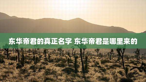 东华帝君的真正名字 东华帝君是哪里来的