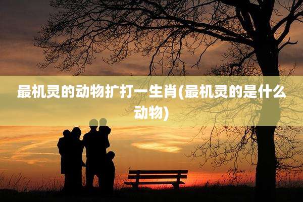 最机灵的动物扩打一生肖(最机灵的是什么动物)