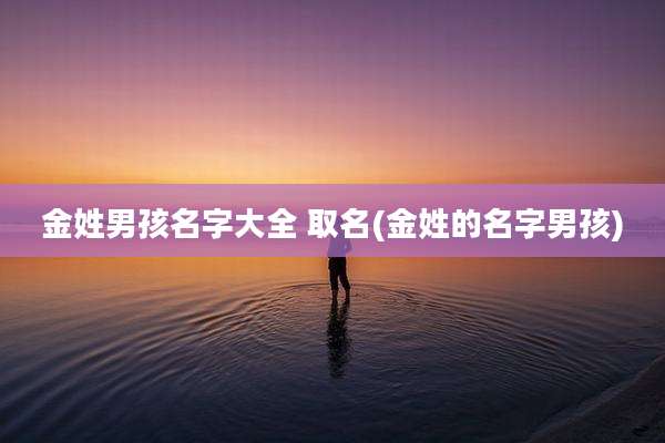 金姓男孩名字大全 取名(金姓的名字男孩)