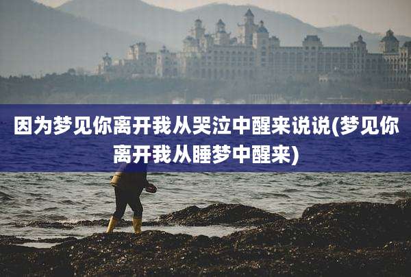 因为梦见你离开我从哭泣中醒来说说(梦见你离开我从睡梦中醒来)