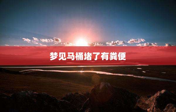 梦见马桶堵了有粪便