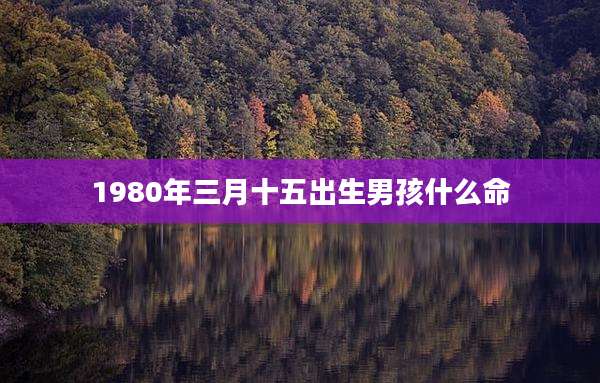 1980年三月十五出生男孩什么命