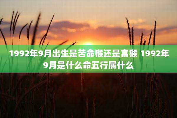 1992年9月出生是苦命猴还是富猴 1992年9月是什么命五行属什么