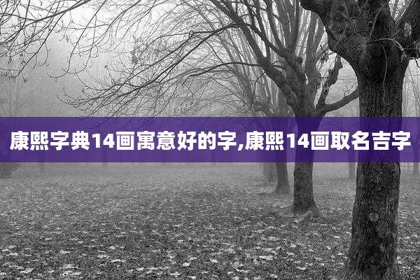 康熙字典14画寓意好的字,康熙14画取名吉字