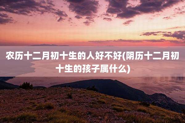 农历十二月初十生的人好不好(阴历十二月初十生的孩子属什么)