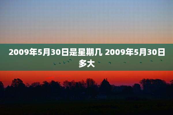 2009年5月30日是星期几 2009年5月30日多大