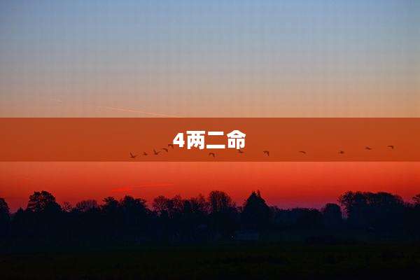 4两二命