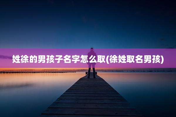 姓徐的男孩子名字怎么取(徐姓取名男孩)