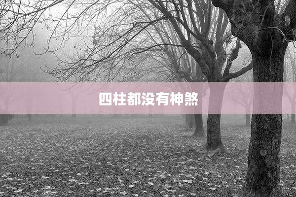 四柱都没有神煞