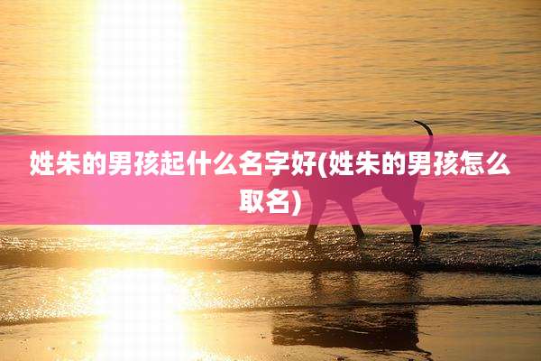 姓朱的男孩起什么名字好(姓朱的男孩怎么取名)