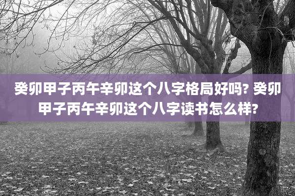 癸卯甲子丙午辛卯这个八字格局好吗? 癸卯甲子丙午辛卯这个八字读书怎么样?